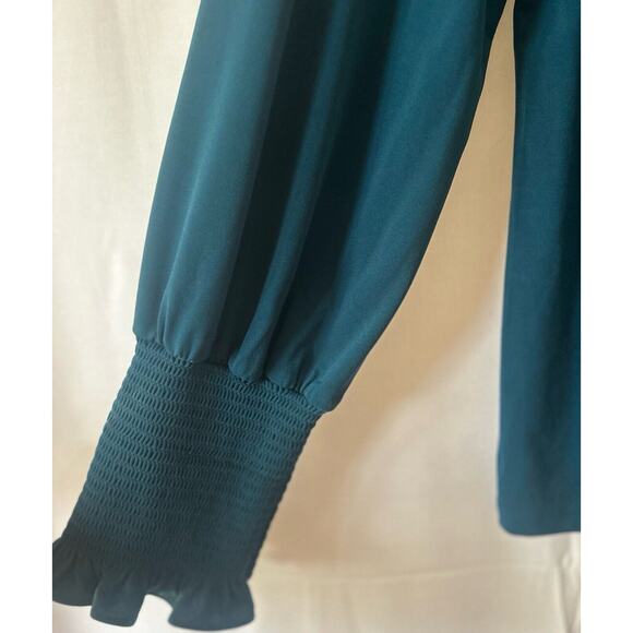 Preston and York Green Blue Large Top Blouse Long Sleeve Elastic Ruffled Wrist - Picture 4 of 6